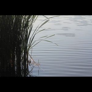 Meet your Posher, Todd